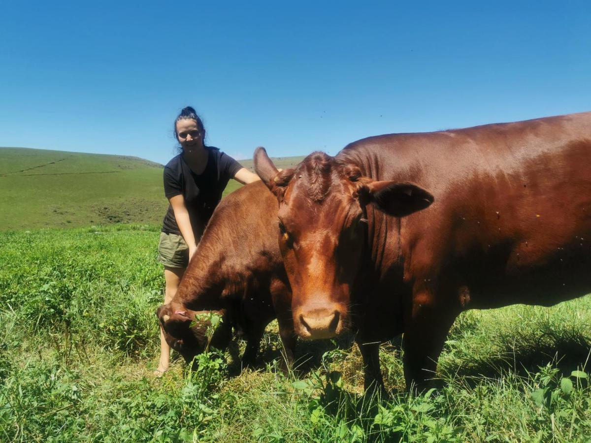Hotel Nguni Moon Tepee Camp Underberg Exterior foto