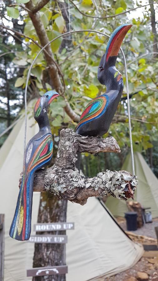 Hotel Nguni Moon Tepee Camp Underberg Exterior foto
